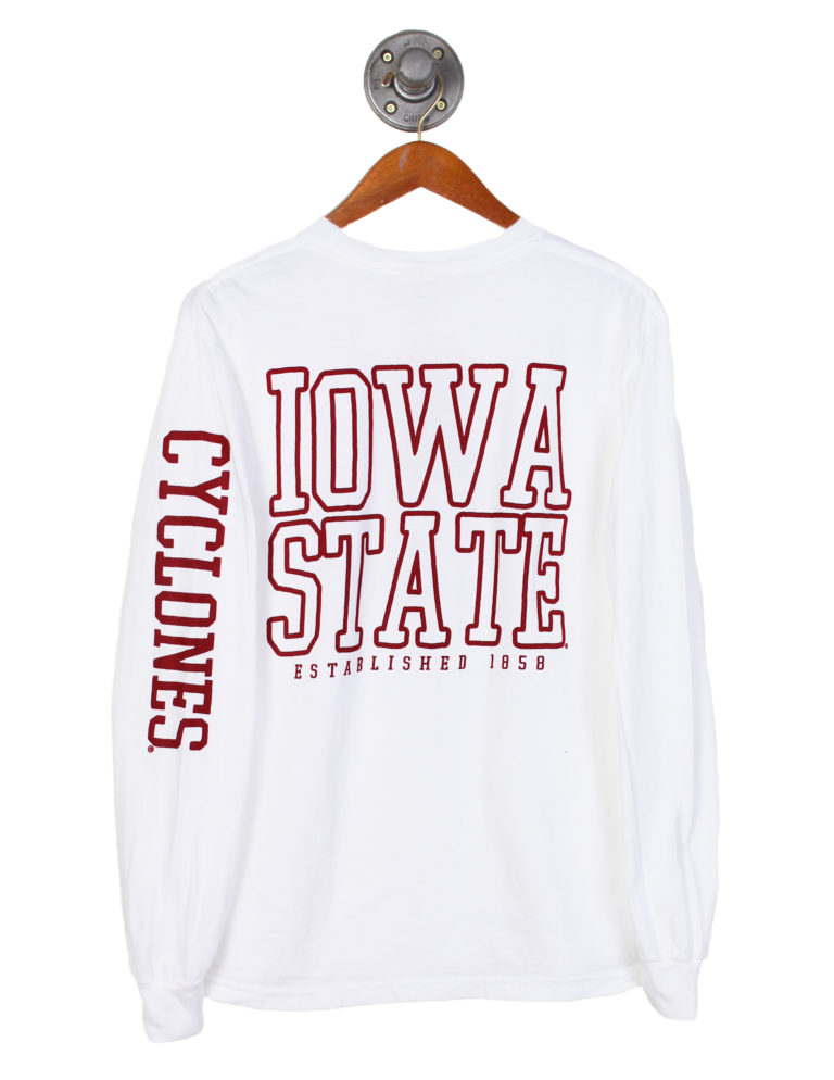 Example of essay outline with thesis image