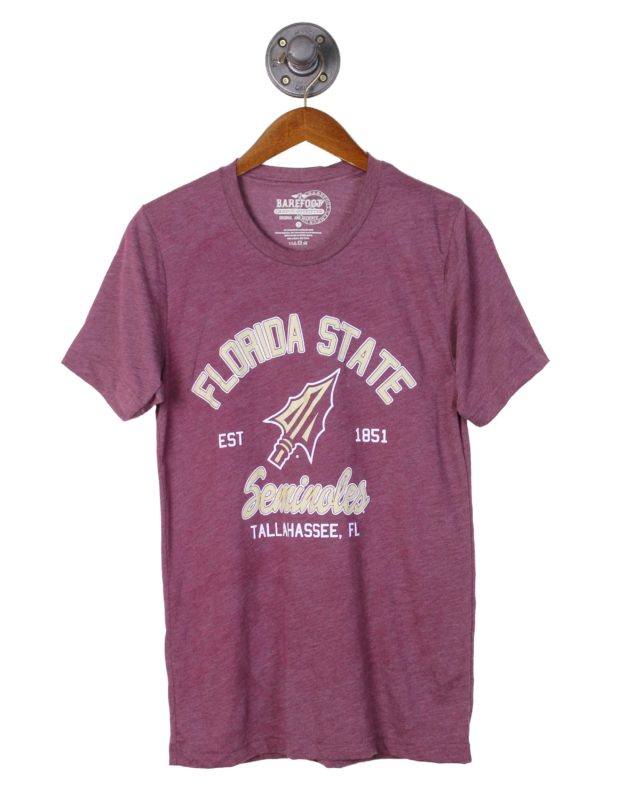 FSU Cake