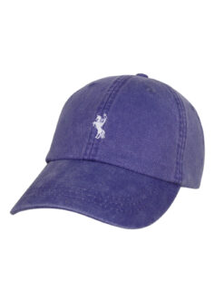 Barefoot Tarleton State TSU Purple Mini Texas Rider Embroidered Hat