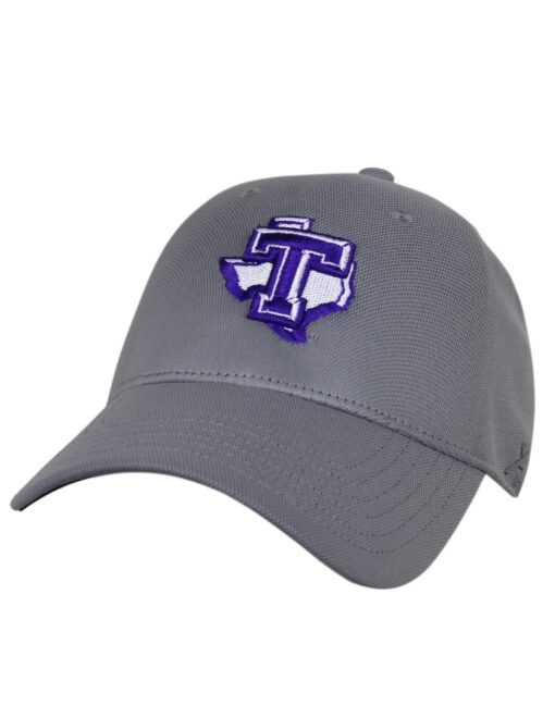 TSU Logo