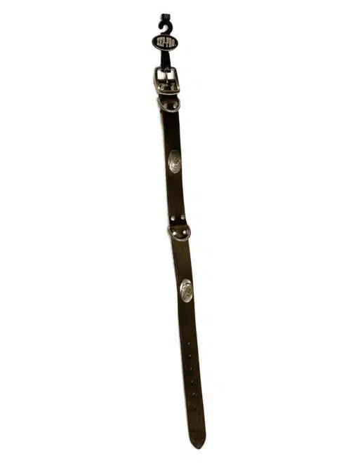 FSU Dog Collar Leather Brown