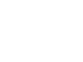 BF-Logo-white