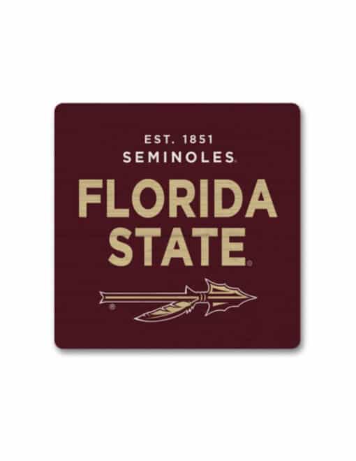 FSU The Minor Magnet