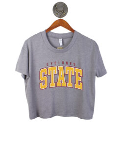 iowa-state-cyclones-grey-short-sleeve-crop-top-146723-5114-SMKGREY