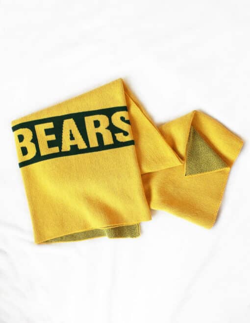 Bears Blanket
