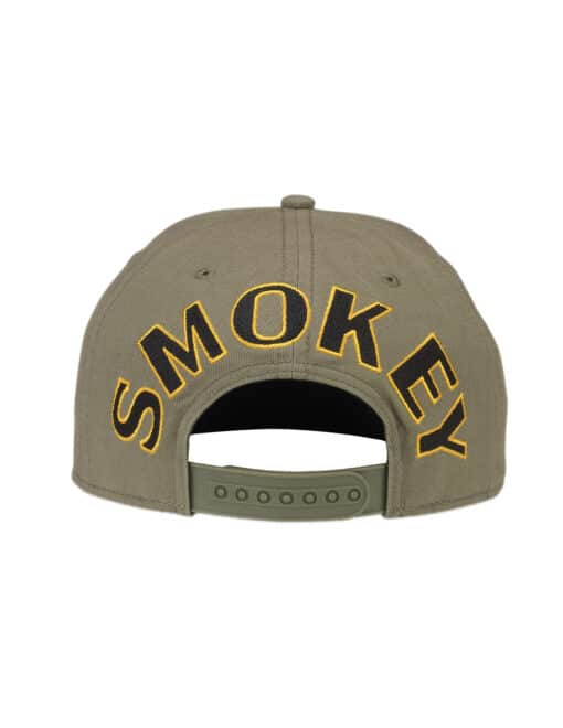 Smokey Bear Blockhead 2.0 - Image 3