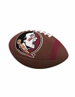 FSU Team Stripe Football