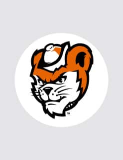 SHSU 2.5" Bearkat Button