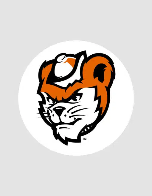 SHSU 2.5" Bearkat Button