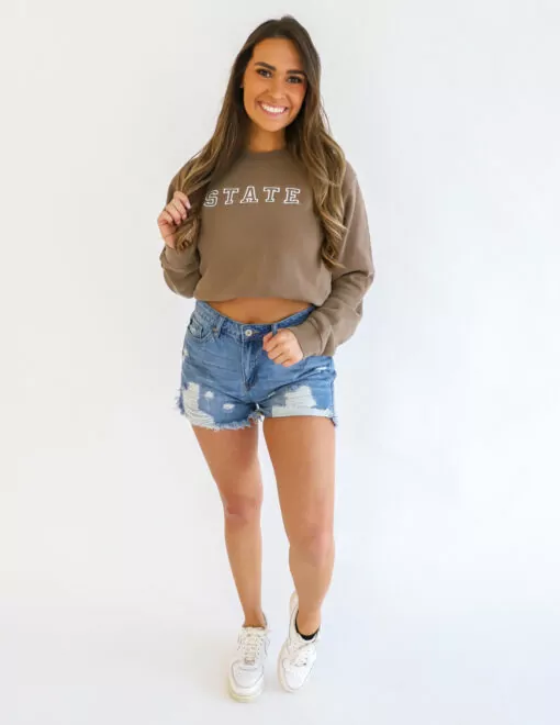 model-iowa-state-black-embroidered-sweatshirt-162064-PRM3500-pigclay (2)