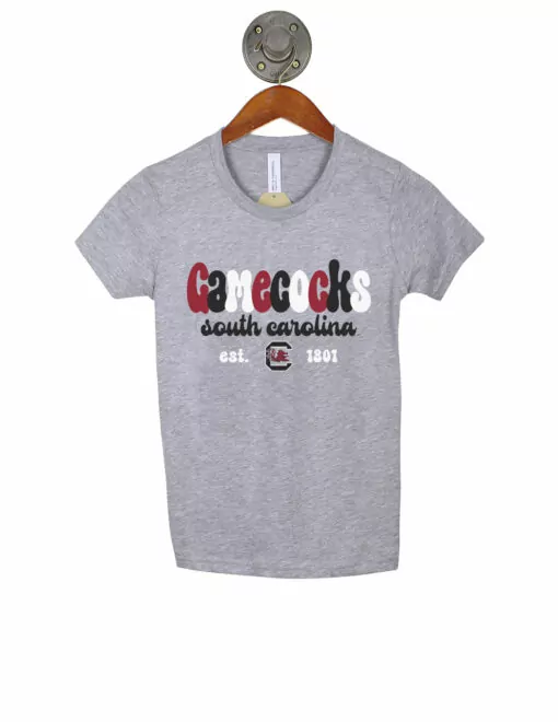 south-carolina-youth-short-sleeve-shirt-grey-gamecocks-161905-3001Y-ATHHTHR