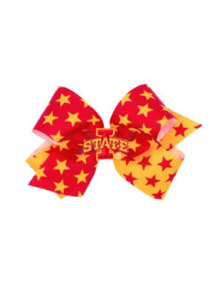 DC1308-ISU-medium-iowa-state-bow-6023685780