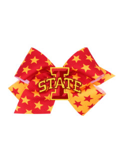 DC3508-ISU-large-iowa-state-bow-6023685781