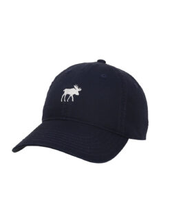 DCO C Mini Moose