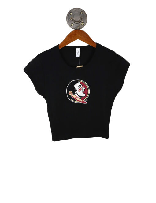 FSU Smallish Logo