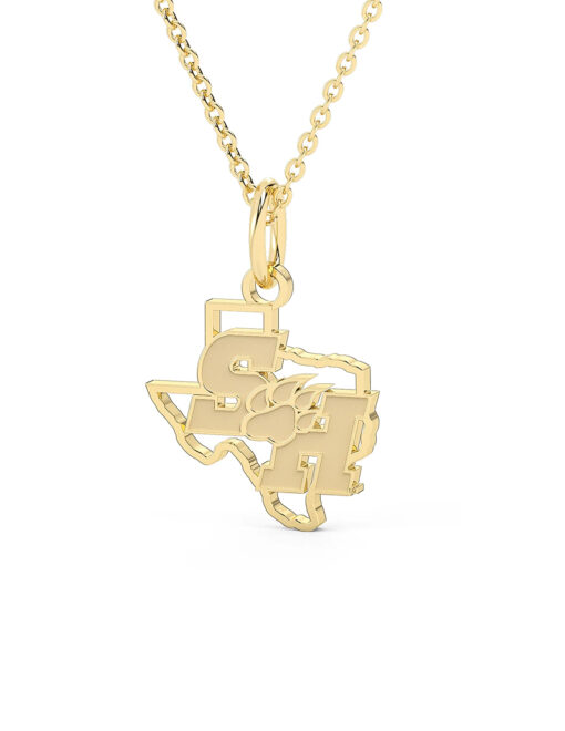 Stainless Steel SH Paw Texas Pendant - Image 2
