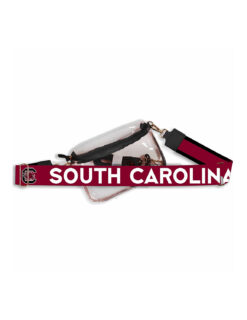 USC Hailey Clear Purse