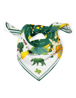 Baylor Saturday Scarf