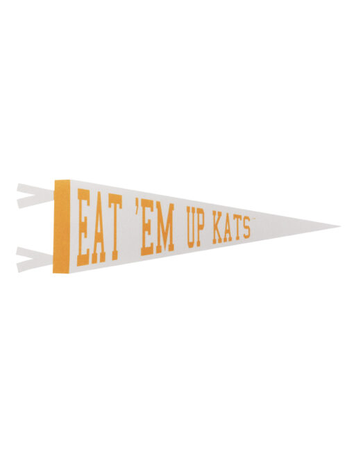 SHSU Mini Pennant