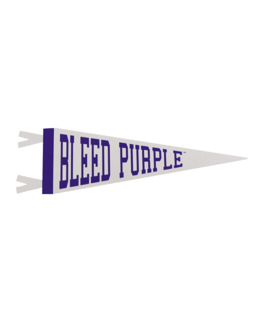 TSU Mini Pennant