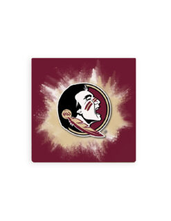 FSU Color Splash Coaster