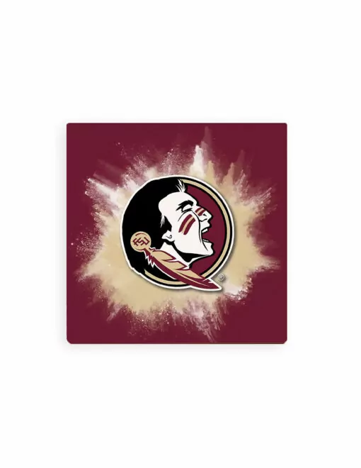 FSU Color Splash Coaster