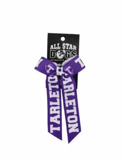 TSU Dog Hair Bow