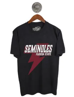 FSU Strike A Cord Short Sleeve