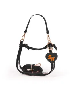 SHSU Clear Clara Purse