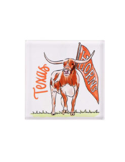 Texas Longhorns Mascot Napkin Weight