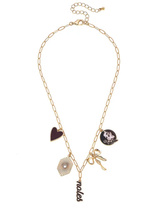 FSU Seminoles Paper Clip Charm Collector Necklace
