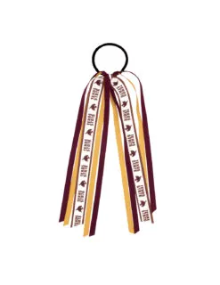 TXST Streamers Pony