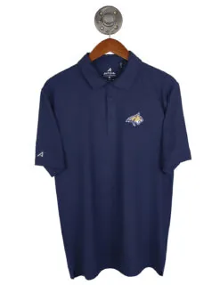 MSU Hurdle Polo