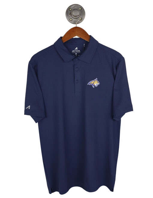 MSU Hurdle Polo