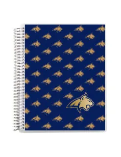 MSU Metallic Coiled 7"x9" Notebook