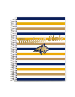 MSU Metallic Coiled 7"x9" Notebook