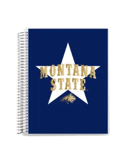 MSU Metallic Coiled 7"x9" Notebook