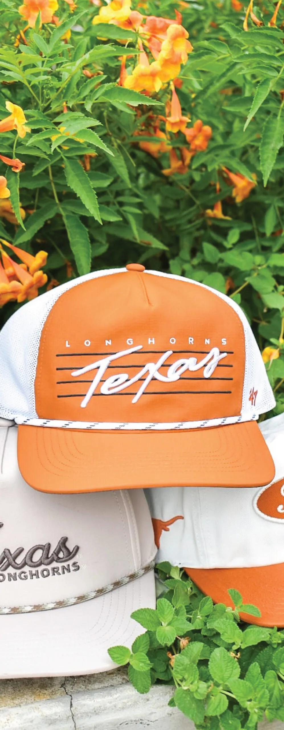 University of Texas Hats