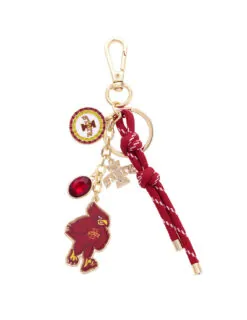 Iowa State Cyclones Cluster Bag Charm