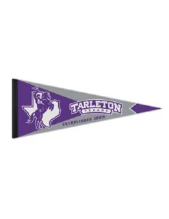 TSU Texans Established Pennant