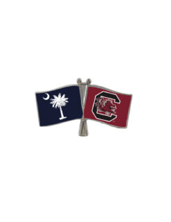 USC South Carolina Flags Pin